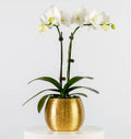 Special Mixed Bouquet