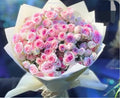 Baby Roses Pink